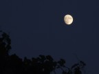 guarda che luna