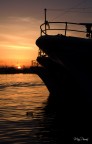Pescherecci  al tramonto Pescherecci  al tramonto