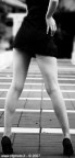 ..:: black dress and white legs ::.. ..:: black dress and white legs ::..