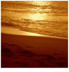 Liquid Gold Liquid Gold