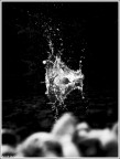 Water Water