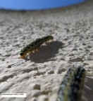 autostrada per il cielo autostrada per il cielo
