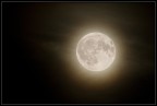 Moon Moon