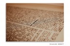 voce del verbo: fotografare voce del verbo: fotografare