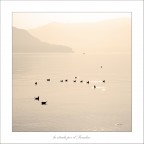 la strada per il Paradiso la strada per il Paradiso