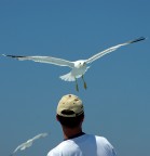 E questo che vuole!!?? E questo che vuole!!??