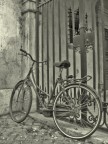 Vecchia bici... Vecchia bici...