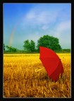 "Summer Colours": riflessioni estive "Summer Colours": riflessioni estive