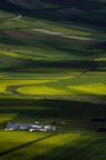Fattoria-Piana-di-Castelluccio---NF5I3656 Fattoria-Piana-di-Castelluccio---NF5I3656