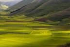 Piana-di-Castelluccio---NF5I3570 Piana-di-Castelluccio---NF5I3570
