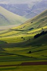 Piana-di-Castelluccio---NF5I3634 Piana-di-Castelluccio---NF5I3634
