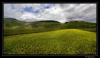 Fior di lenticchia .....a Castelluccio (Raduno umbro) Fior di lenticchia .....a Castelluccio (Raduno umbro)