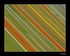 Castelluccio Missoniano