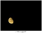Moonlight Moonlight