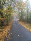 autunno autunno