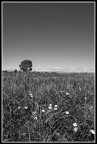 Separati dall'orizonte Separati dall'orizonte