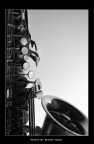 musica musica