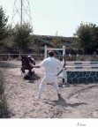 Stavolta ti fermo ! Stavolta ti fermo !