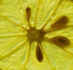limone limone