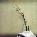 Natura Morta II Natura Morta II