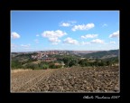 estate estate
