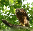 i want...you!! i want...you!!