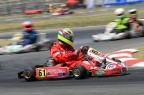 Camp. ital. karting 100-125 a Sarno (SA) Camp. ital. karting 100-125 a Sarno (SA)