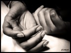 Desiderio... Desiderio...