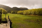 Uno scorcio di Prato Cipolla, Alta Val Nure (PC)