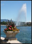 jet d'eau jet d'eau