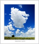 L'albero solitario L'albero solitario