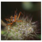 cosa cerchi? cosa cerchi?