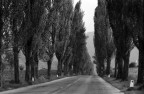 la strada dei sogni la strada dei sogni