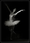 Ballerina bn Ballerina bn
