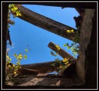 La trappola La trappola