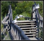 si parte.... si parte....