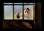 Broken Window Broken Window