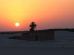 Tunisia . Tozeur - Tramonto Sahariano Tunisia . Tozeur - Tramonto Sahariano