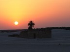 Durante una escursione a dorso di cammello per fotografare il tramonto nei pressi di una oasi nel deserto del Sahara.