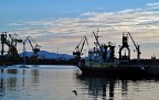 i cieli sopra Piombino IX i cieli sopra Piombino IX