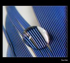 Percezioni Amplificate Percezioni Amplificate