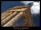 tempio Segesta tempio Segesta
