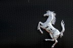 Cavallino Cavallino
