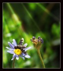 e adesso anche quest'altro... e adesso anche quest'altro...