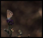 Nuvole di Fango Nuvole di Fango