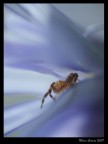 Smarrito .... nel blu Smarrito .... nel blu
