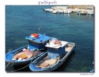 Gallipoli Gallipoli
