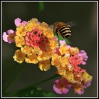 Atterraggio... Atterraggio...