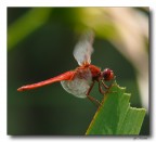 Ferma o in movimento ?!? Ferma o in movimento ?!?