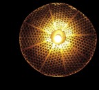 Meduse e tappeti Meduse e tappeti